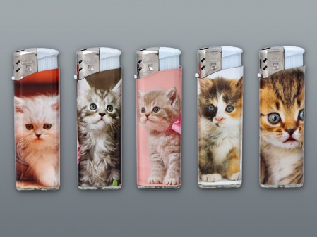 ELECTRONIC LIGHTER CATS
