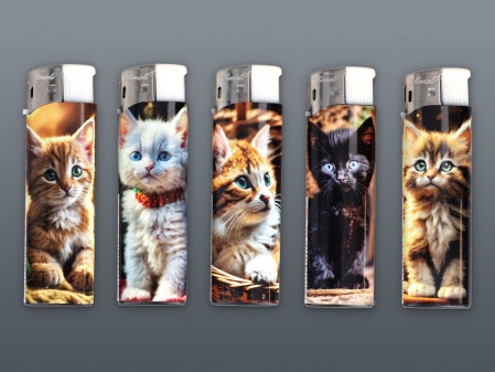 ELECTRONIC LIGHTER CATS 2